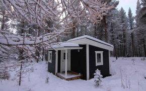 Arctic Island - Remote island, reachable only by boat or snowmobile in Kurravaara